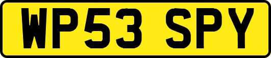 WP53SPY