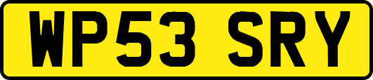 WP53SRY