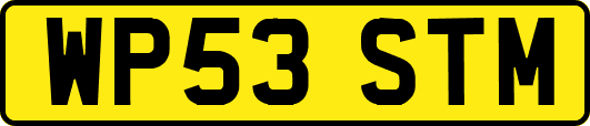WP53STM