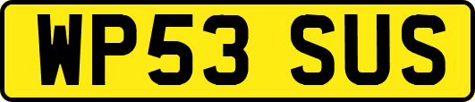 WP53SUS