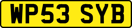 WP53SYB