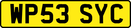 WP53SYC