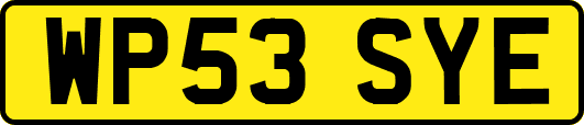 WP53SYE