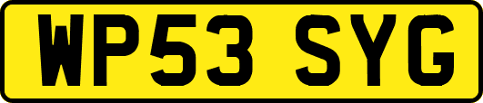 WP53SYG