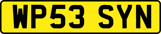 WP53SYN