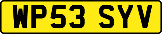 WP53SYV