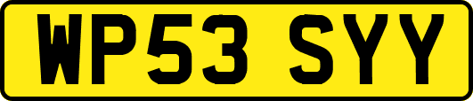 WP53SYY