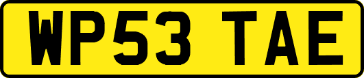 WP53TAE