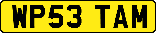 WP53TAM