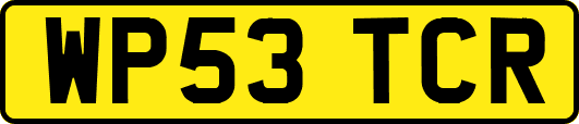WP53TCR