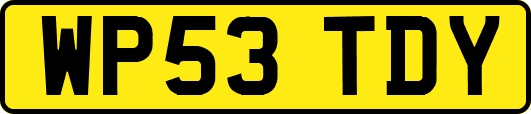 WP53TDY
