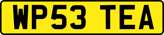 WP53TEA