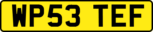 WP53TEF