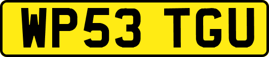 WP53TGU