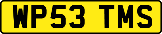 WP53TMS