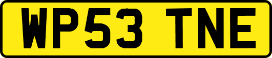 WP53TNE