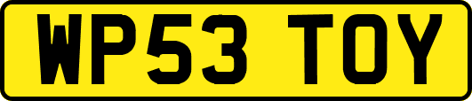 WP53TOY