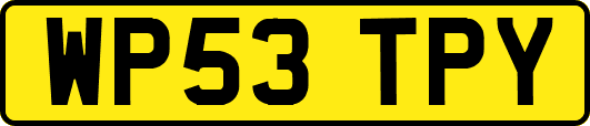 WP53TPY