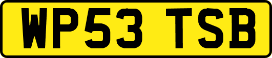 WP53TSB