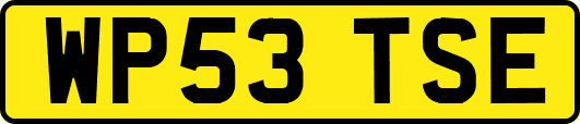 WP53TSE