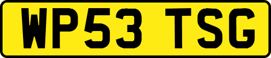 WP53TSG