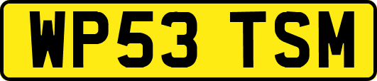 WP53TSM