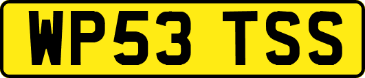 WP53TSS