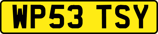 WP53TSY