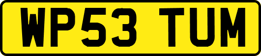 WP53TUM