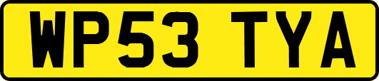 WP53TYA
