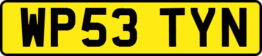 WP53TYN