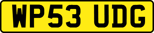 WP53UDG
