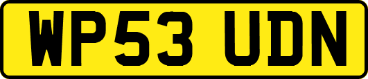WP53UDN