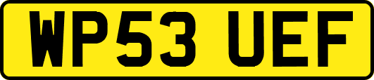 WP53UEF