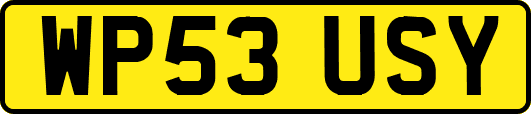 WP53USY