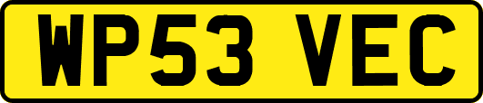 WP53VEC