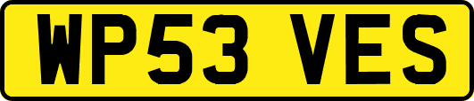 WP53VES