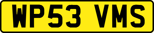 WP53VMS