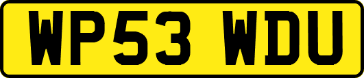 WP53WDU