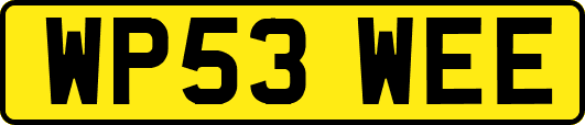 WP53WEE