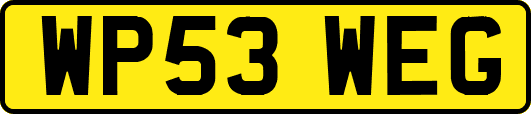 WP53WEG