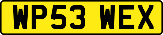 WP53WEX