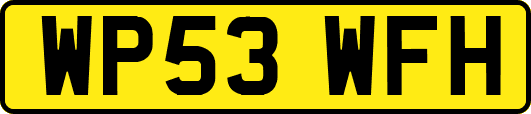 WP53WFH