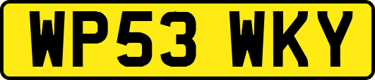 WP53WKY