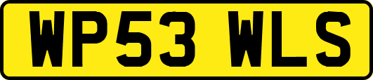 WP53WLS