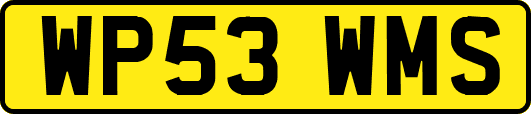 WP53WMS