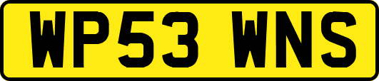 WP53WNS