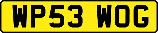 WP53WOG