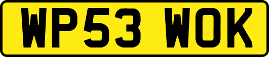 WP53WOK