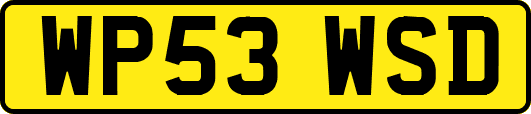 WP53WSD